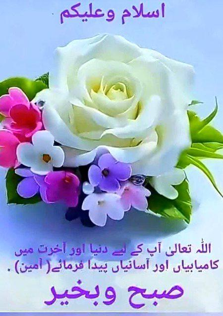 Ali Hassan